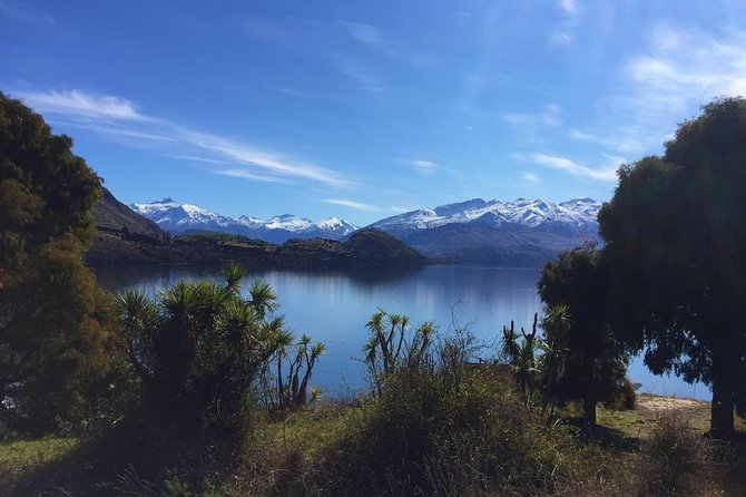 1-Hour Ruby Island Cruise and Walk - Lake Wanaka cruise: your 30 minutes of big views
