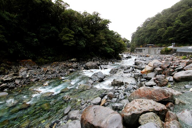 5 Day South Island Tour from Queenstown including Stewart Island - Price and value: what $3,164.92 per person buys you (and what to double-check)