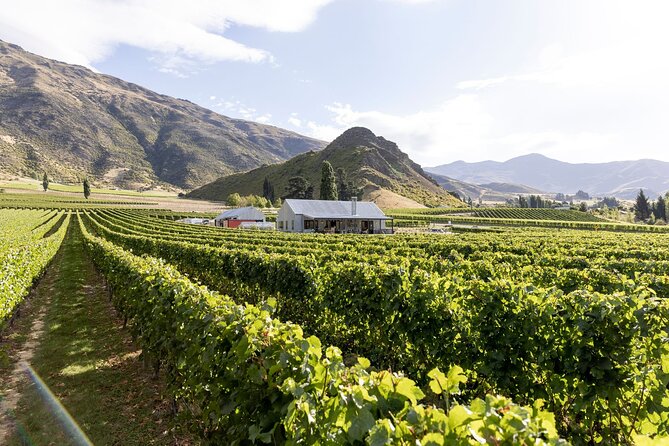 Award Winning Premium Wine Tour Queenstown Tasting at 4 Wineries - Gibbston Valley Winery: the underground cellar tour that sets the tone