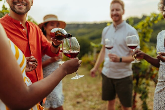 Bike & Wine Tour: Arrowtown to Valley of the Vines - Meeting Point, Timing, and the Day’s Rhythm