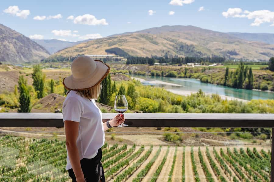 Boutique Winery Half-Day Tour & Vineyard Platter-Style Lunch - The small-group setup and electric car rhythm