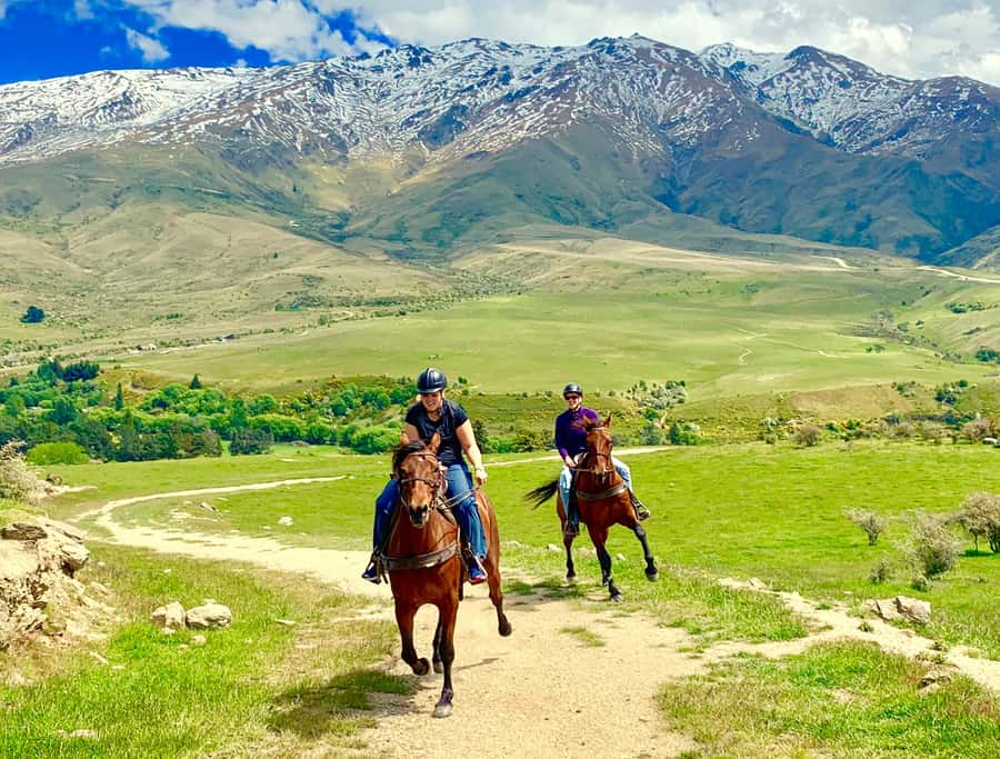 Cardrona Valley: Horse Trekking Experience - Where You Meet, and Why It Matters More Than You Think