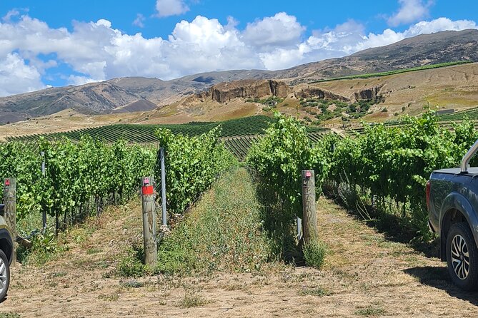 Cromwell Wine Tasting Tour using Classic Car - Queenstown to the Cromwell Basin: What the Drive Actually Adds