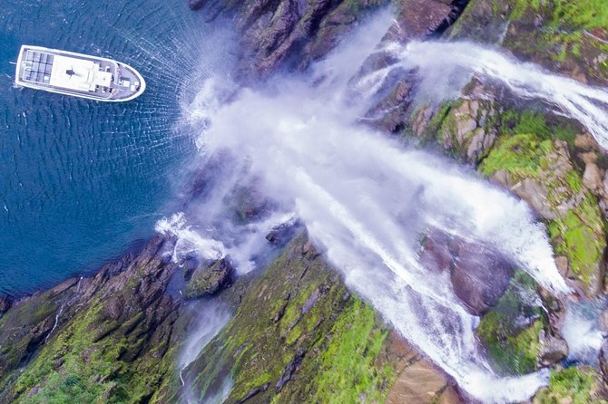 Cruise Milford NZ Small Boutique Cruise Experience - Key Highlights You Will Actually Feel On the Water