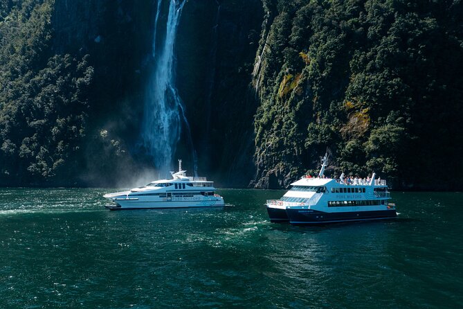 Cruise Milford NZ Small Boutique Cruise Experience - Wildlife Viewing: How to Increase Your Chances (Without Getting Stressy)