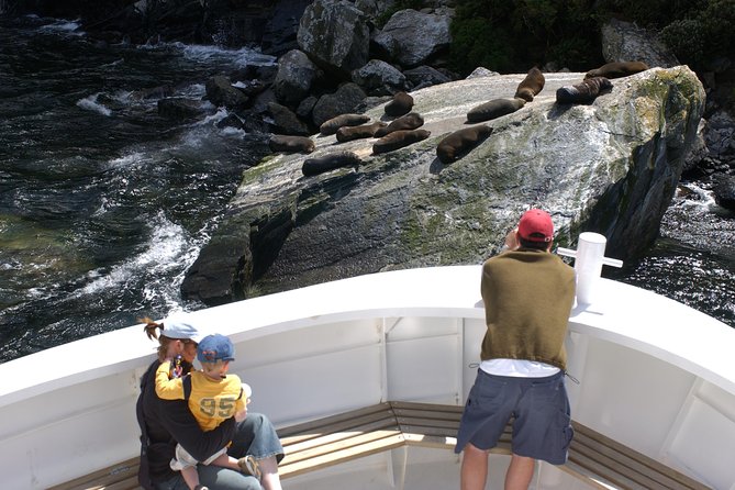 Cruise Milford NZ Small Boutique Cruise Experience - Price and Value at About $111.08 Per Person