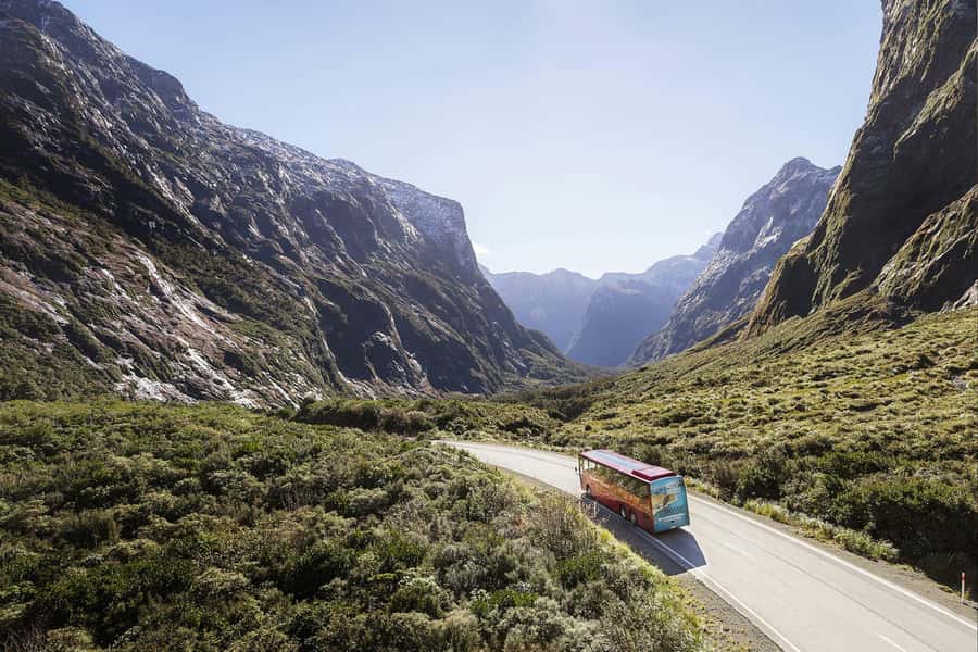 From Queenstown: Milford Sound Coach, Cruise, Scenic Flight - The Milford Road Drive: Comfort, Stops, and Real Scenic Payoff