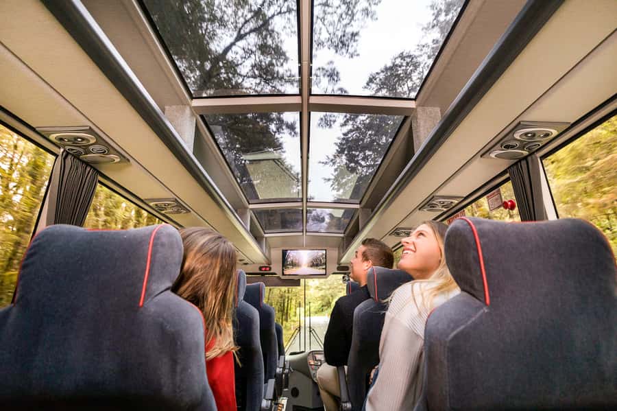 From Queenstown: Milford Sound Day Trip on Premium Coach - Glass-Roof Comfort, USB Ports, and Commentary That Keeps Time Passing
