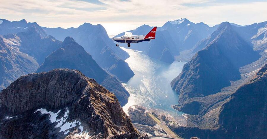 From Queenstown: Milford Sound Full-Day Trip by Plane & Boat - Wildlife You Can Watch For (And How to Spot It Fast)