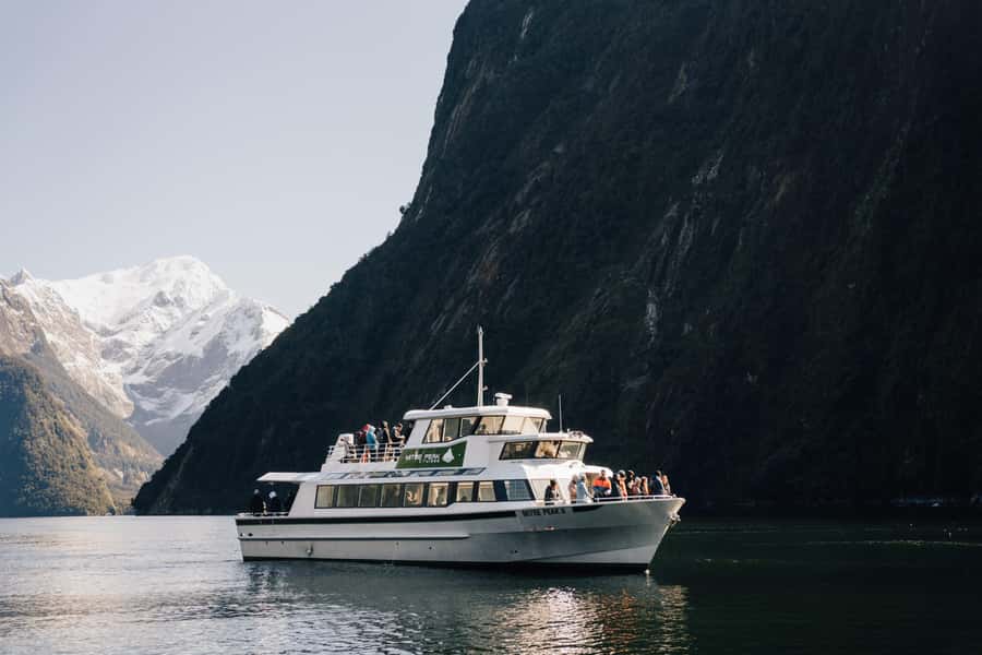 From Queenstown: Milford Sound Full-Day Trip by Plane & Boat - Timing and Transfers: The Smoothness Is Part of the Value