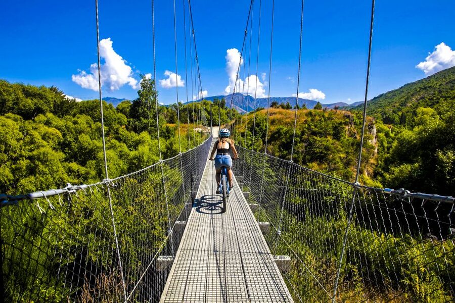 From Queenstown: 'Valley of the Vines' Wine and Bike Tour - The Bikes: eBikes Make It a Chill Ride, Pedal Bikes Make It a Test