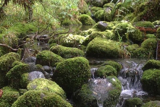 Full-Day Small-Group Routeburn Valley Hike - Route length, timing, and how to pace yourself