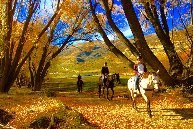 Gold Discovery Trail Horse Trek Cardrona - Most popular! - Your first time on a horse: the training that makes it work