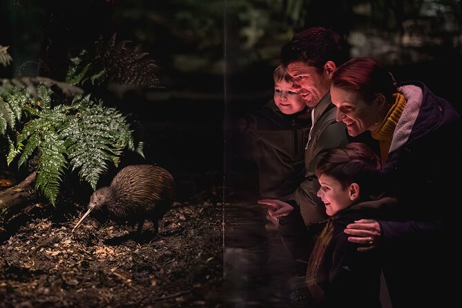 Kiwi Park Queenstown Admission - Price and value: what $39.72 buys you in real time