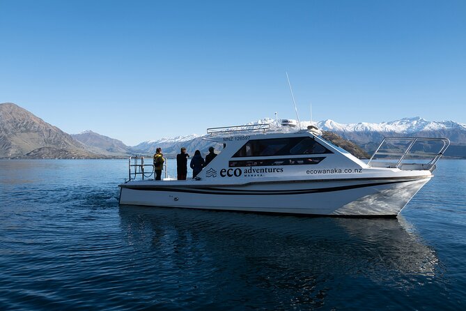Lake Cruise & Mou Waho Island Nature Walk - Lake Wanaka cruise: the 30 minutes each way that set up the day