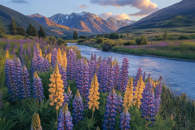 Lord of the Rings Scenic Half Day Tour from Queenstown - Stop 1: Glenorchy-Queenstown Road, where the story starts to frame itself