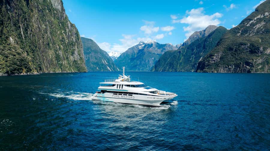 Milford Sound: Nature Cruise on a Modern Catamaran - Getting to Pure Milford on time, without stress