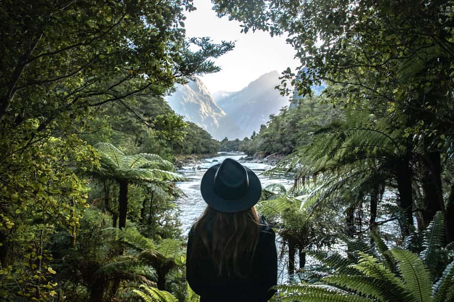 Milford Sound: Self-Guided Milford Track Day Walk - Getting to Deepwater Basin Boat Ramp, Without Accidentally Going to the Wrong Place