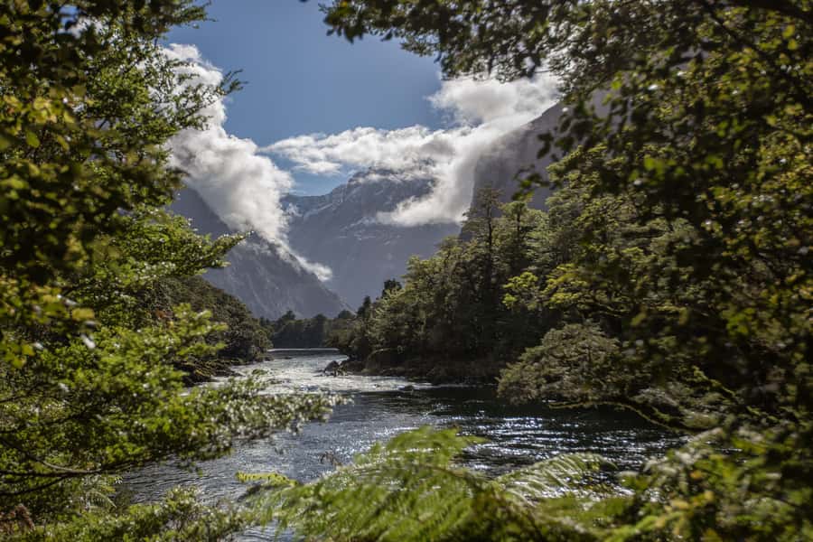 Milford Track: Full Day Guided Hike and Nature Cruise - The morning start: Mitre Peak Cruises check-in and the early day rhythm