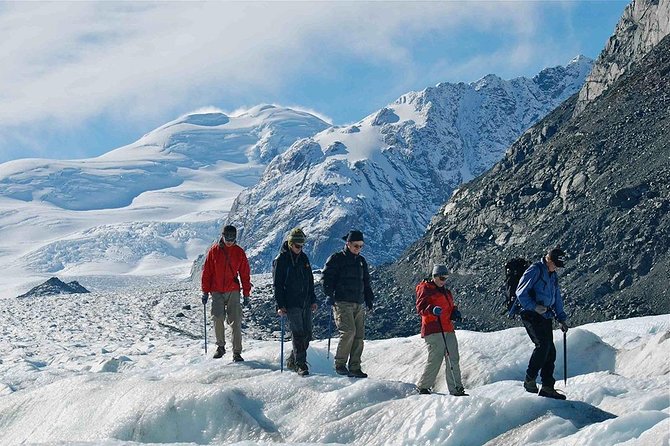 Mt Cook Small Group Scenic Day Tour from Queenstown - Omarama’s sheep statue and the Mackenzie Plains feel