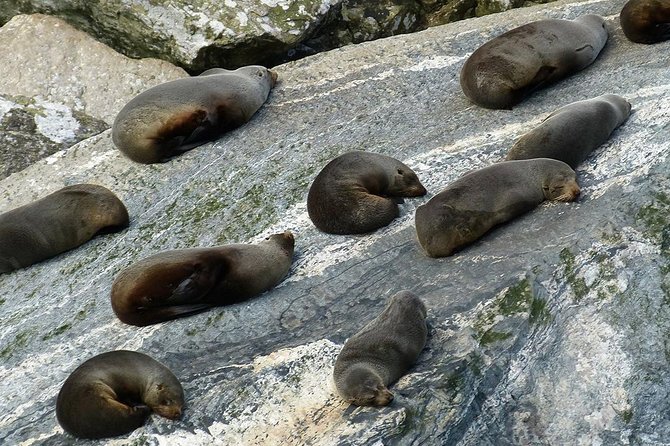 Premium Milford Sound Small Group Tour & Cruise from Queenstown - Lake Gunn: quick photos and a calmer moment