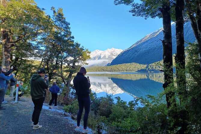 Premium Milford Sound Small Group Tour & Cruise from Queenstown - Hollyford River and waterfall country: the point where Fiordland feels real