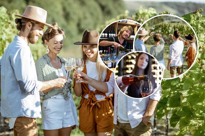 Queenstown Afternoon Wine Tour - Peregrine | Kinross | Amisfield - Stop 1: Gibbston Valley Wines and the Valley of the Vines Feel