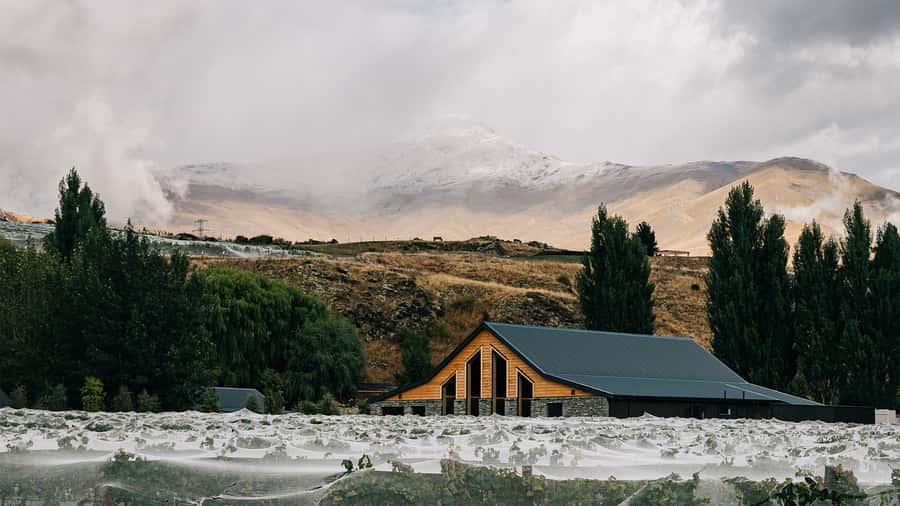 Queenstown: Classic Central Otago Wine Tasting Experience - Five Central Otago brands, one guided tasting story