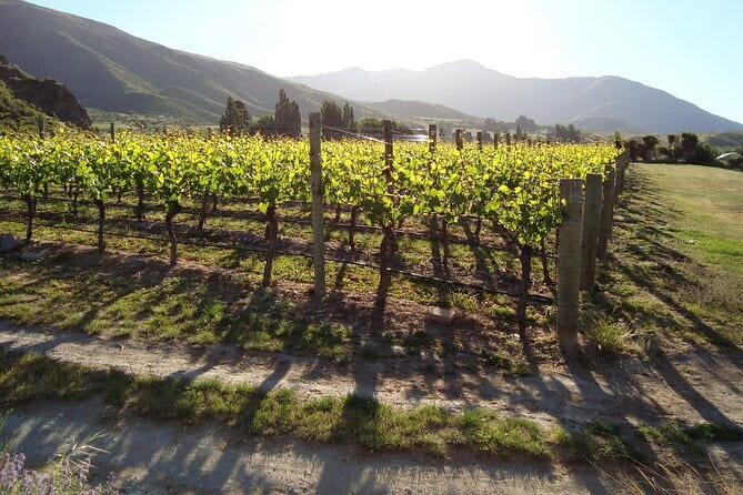 Queenstown Gin and Whiskey tours - Private Discovery Tours with a small-group feel that keeps it relaxed