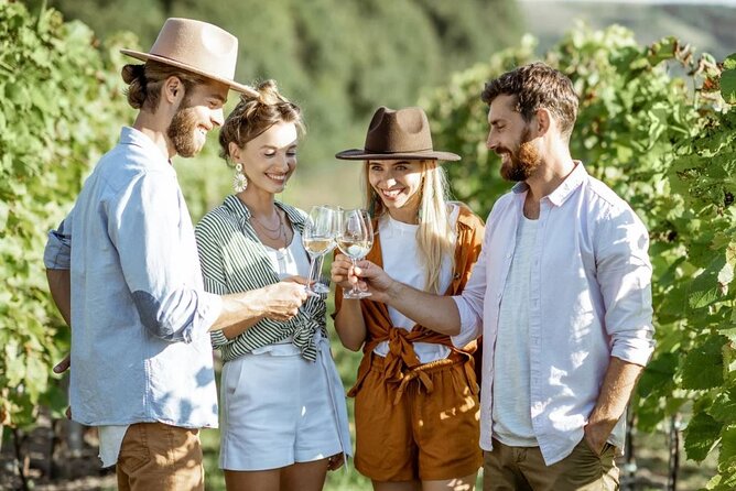 Queenstown Gin, Wine & Beer Tour | Adults Only - The 3:00 pm meeting, the Mercedes Sprinter ride, and how the timing actually works