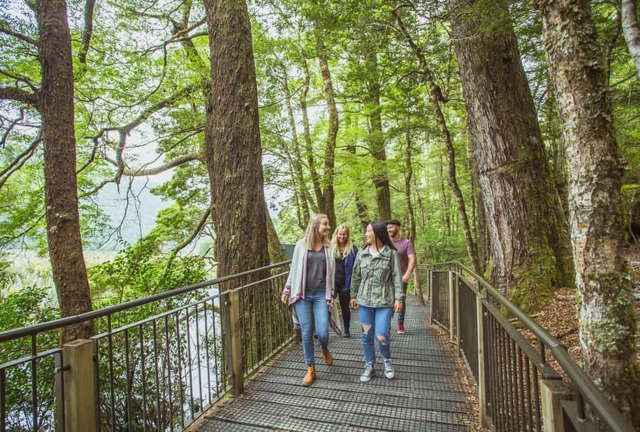 Queenstown: Milford Sound Coach & Cruise Full-Day Trip - Key things I’d circle on your plan