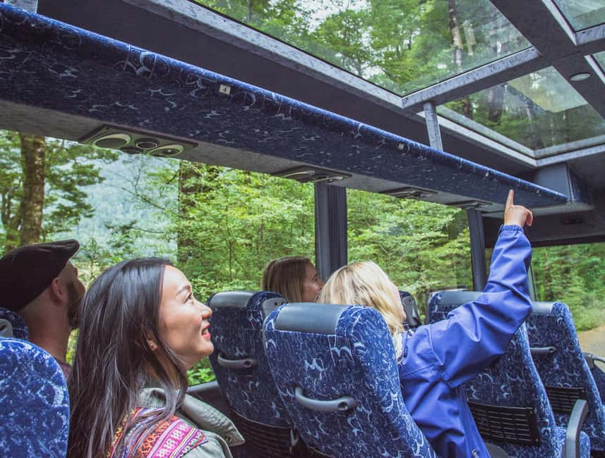 Queenstown: Milford Sound Coach & Cruise Full-Day Trip - Road to Milford Sound: how the coach ride becomes part of the show