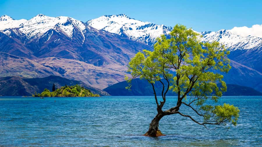 Queenstown: Private Day Trip to Wanaka, Arrowtown & More - Arrowtown, Cardrona, and Cromwell: the classic stops that feel real