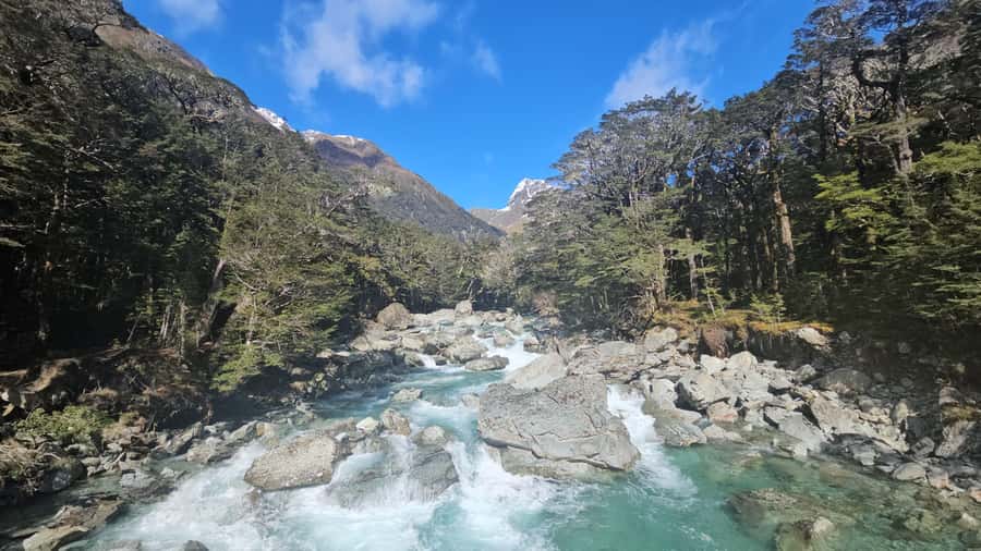 Queenstown: Routeburn Track Guided Full-Day Walk or Half Day - The Queenstown to Glenorchy drive that sets the tone