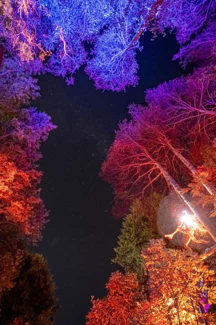Queenstown: Whimsical Sensory Night Walk at LUMA Enchanted - Finding the entrance by Skyline Gondola and the LUMA heart