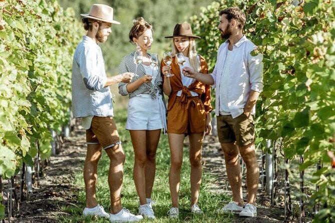 Queenstown Wine Tour - Gibbston Valley Cave | Kinross | Amisfield - Price and value: what $170.38 actually buys
