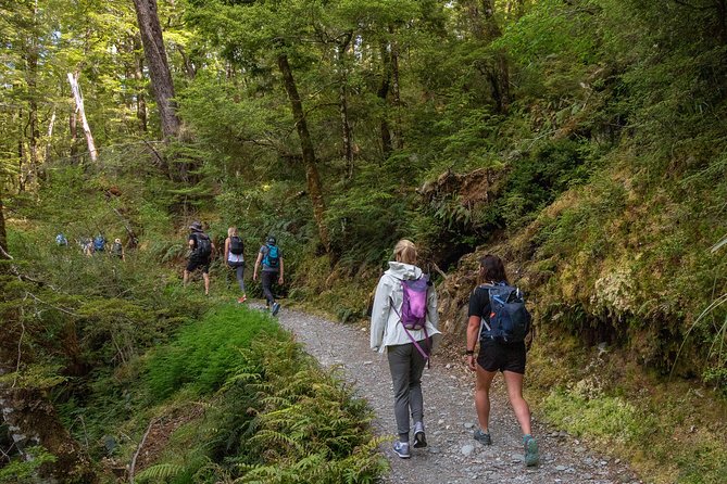 Routeburn Track Guided Hike (Full Day) - UNESCO Te Wahipounamu forest walking: beech, podocarps, and your guide’s lens