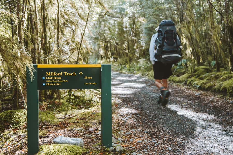 Self-Guided Milford Track Day Walk from Lake Te Anau - Getting There: Te Anau Downs Jetty and the Start of Your Lake-to-Hike Day