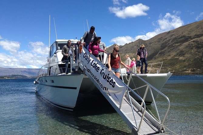 Stevensons Island Cruise and Nature Walk - What the Guide Brings: Wildlife, Plants, and Real Conversation