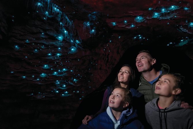 Te Anau Glow Worm Caves Tour - Underground start: the Cavern House talk and your first cave walk