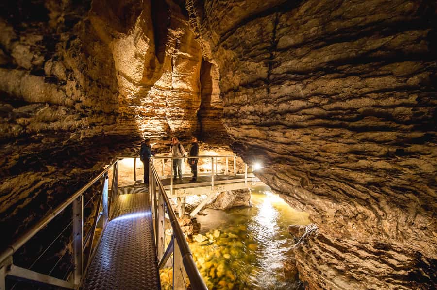 Te Anau: Glowworm Caves Guided Tour - Key highlights to know