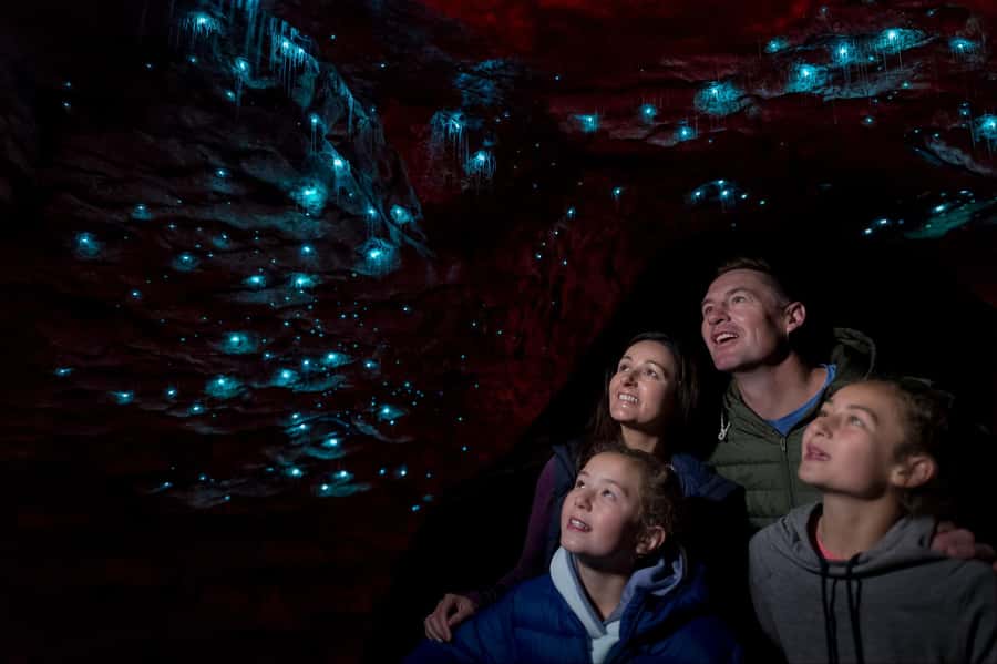 Te Anau: Glowworm Caves Guided Tour - Te Anau lakefront check-in and the cruise that sets the mood
