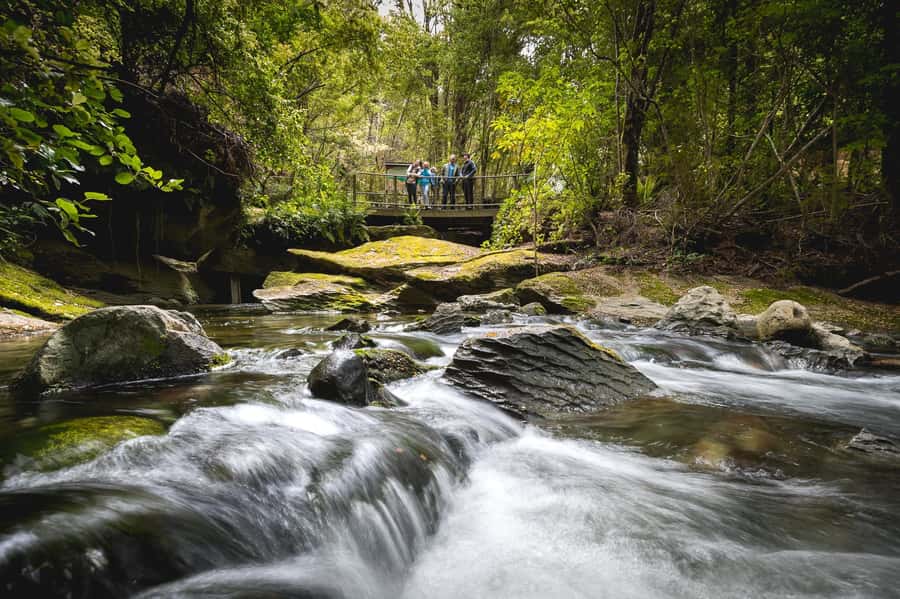 Te Anau: Glowworm Caves Guided Tour - Cave storytelling: formations, cave networks, and Maori legends
