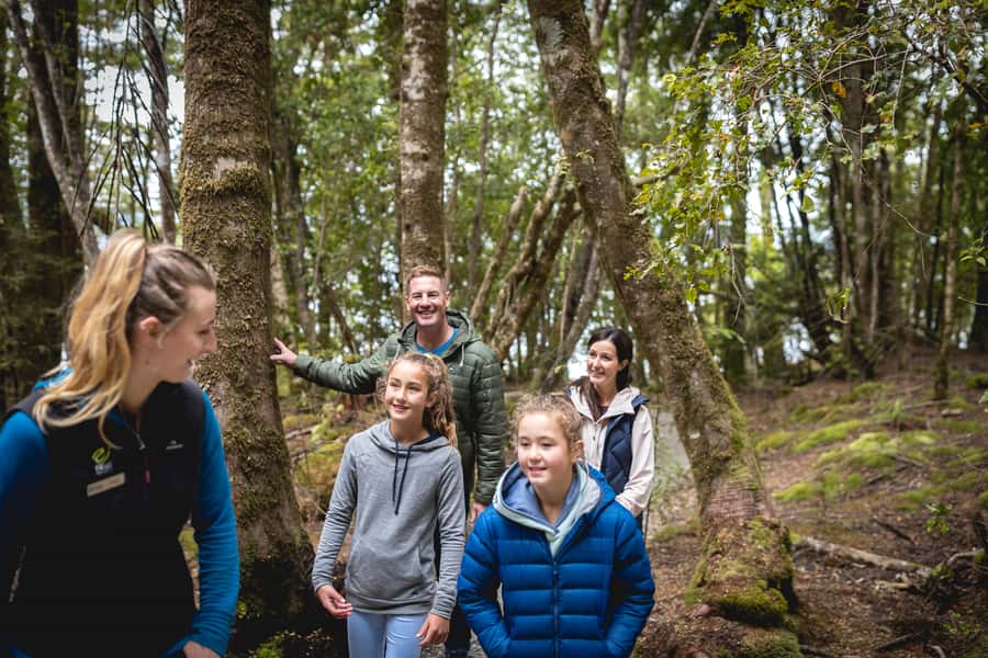 Te Anau: Glowworm Caves Guided Tour - Optional forest stop and the local flora angle
