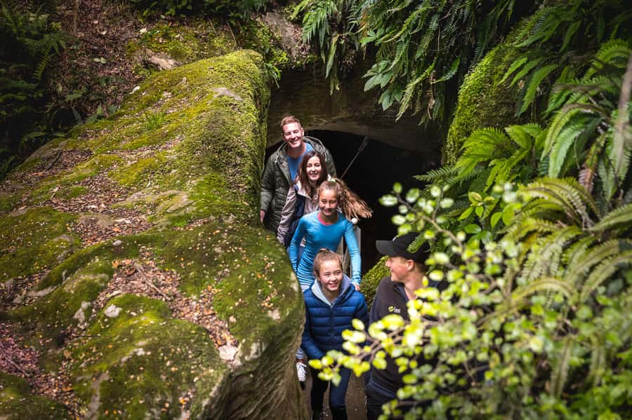 Te Anau: Glowworm Caves Guided Tour - Small-group pace and the guide factor that makes it feel personal