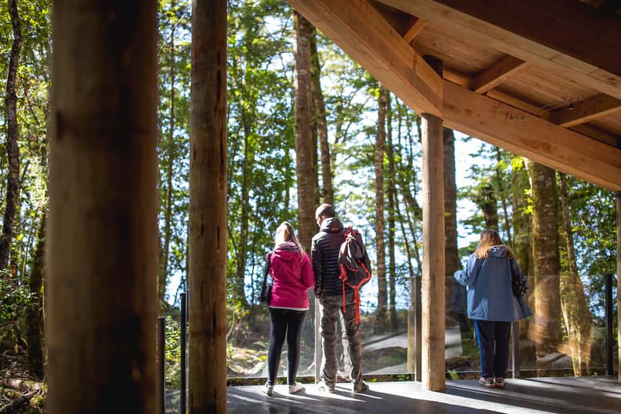 Te Anau: Glowworm Caves Guided Tour - Who should book this, and who should think twice