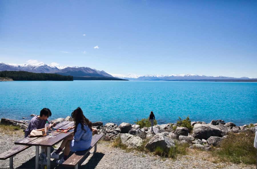 Tekapo Shuttle: Mt Cook Day Tour via Pukaki & Tasman Lake - Key Highlights You Should Know Before You Go