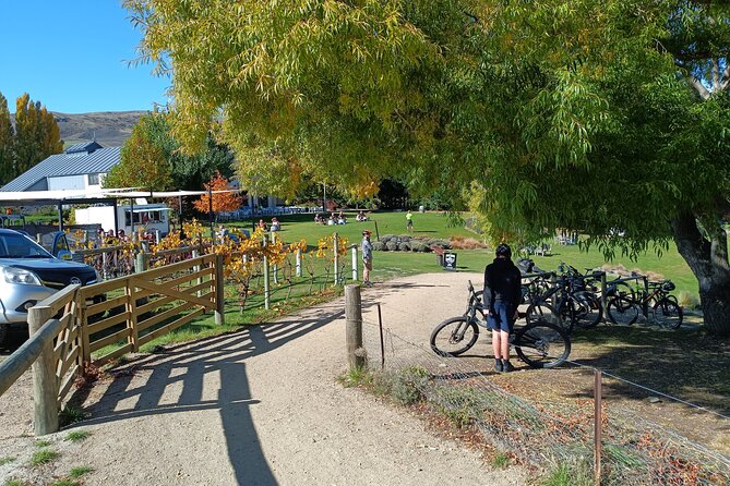 The Ultimate Lake Dunstan Bike Hire And Boat Experience - The 42 km ride: pace, surface, and whether you should choose e-bike
