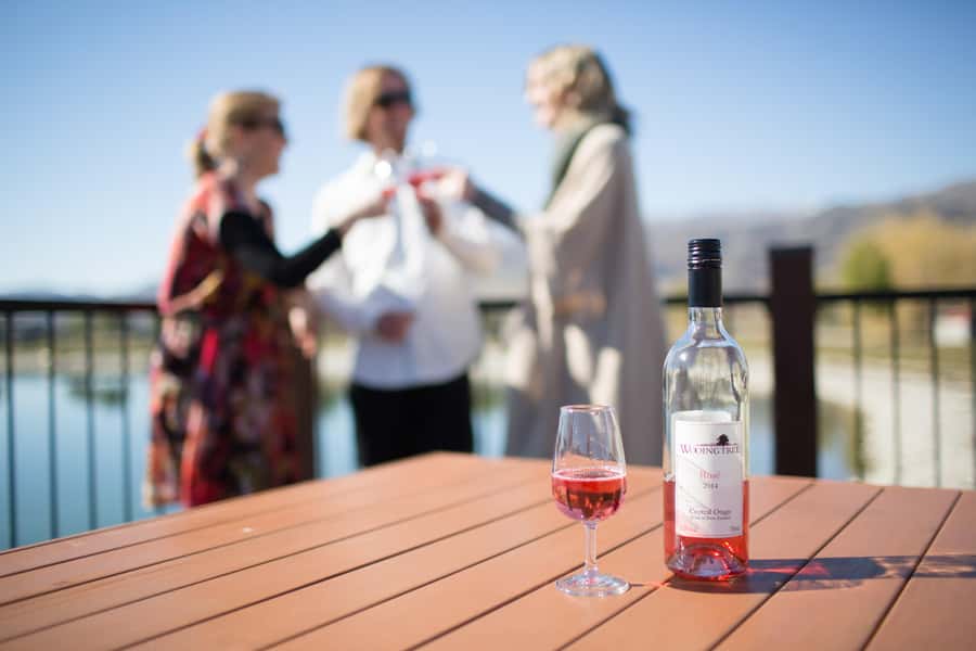 Wanaka: Afternoon Boutique Wine Tour - What This Wanaka Afternoon Wine Tour Really Delivers