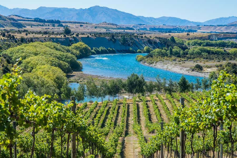 Wanaka: Afternoon Boutique Wine Tour - The Mid-Afternoon Platter That Helps You Taste Better